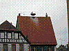 Obernai_2007-05-17 11h54m05s.jpg Obernai_2007-05-17 11h54m05s.jpg